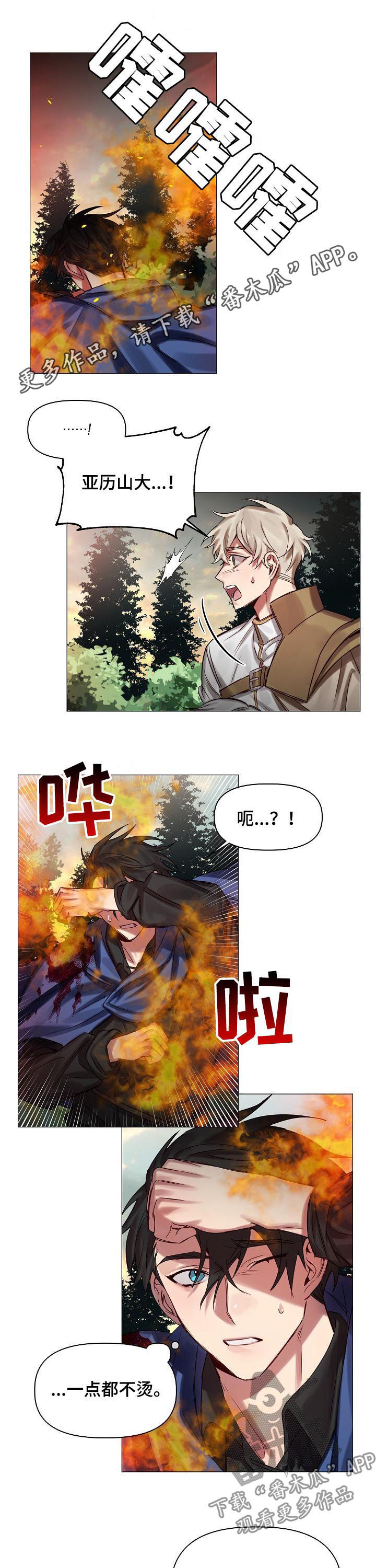 《皇家骑士》漫画最新章节第45章：慢慢了解免费下拉式在线观看章节第【11】张图片