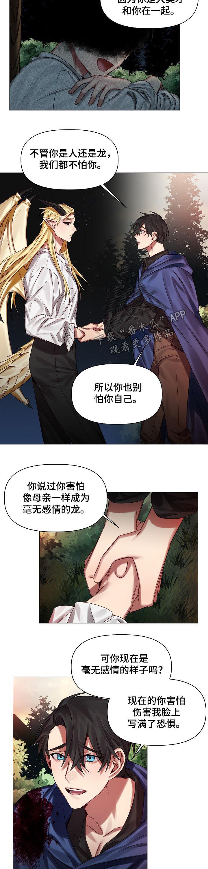 《皇家骑士》漫画最新章节第45章：慢慢了解免费下拉式在线观看章节第【3】张图片