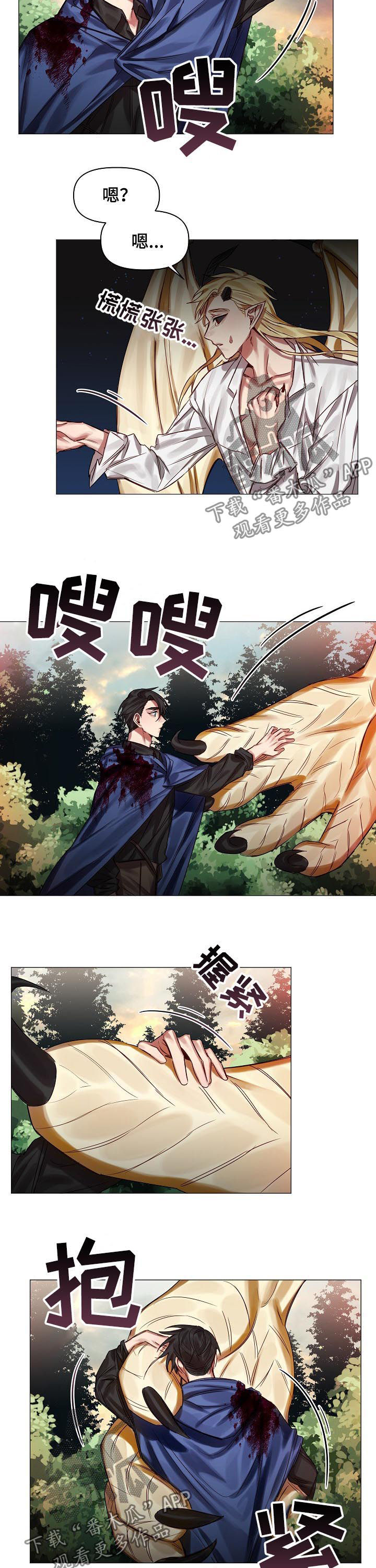 《皇家骑士》漫画最新章节第45章：慢慢了解免费下拉式在线观看章节第【6】张图片