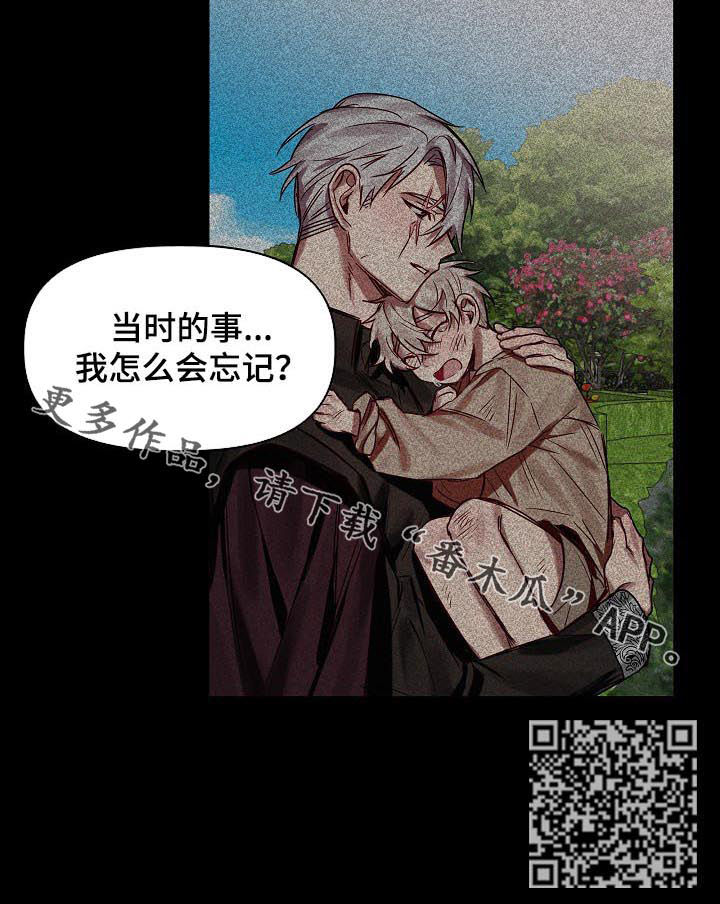 《皇家骑士》漫画最新章节第47章：番外：怎会忘记免费下拉式在线观看章节第【1】张图片