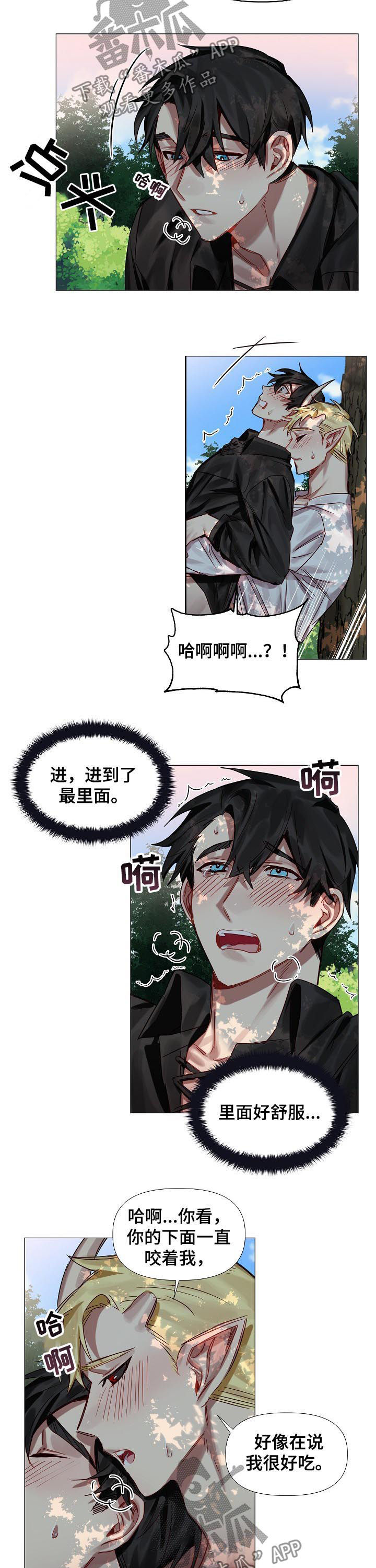 《皇家骑士》漫画最新章节第50章：番外：还想玩？（完结）免费下拉式在线观看章节第【3】张图片