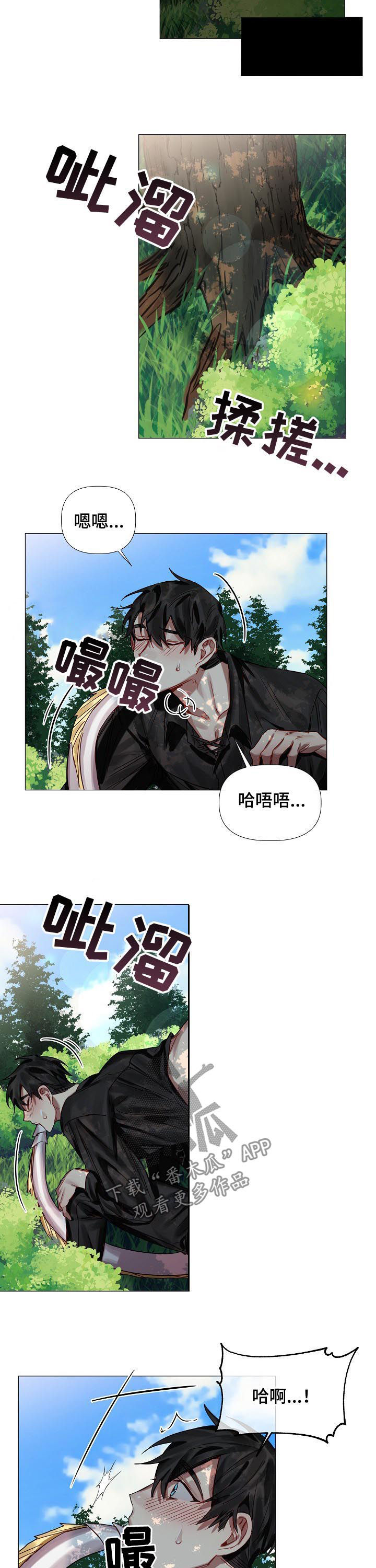 《皇家骑士》漫画最新章节第50章：番外：还想玩？（完结）免费下拉式在线观看章节第【6】张图片