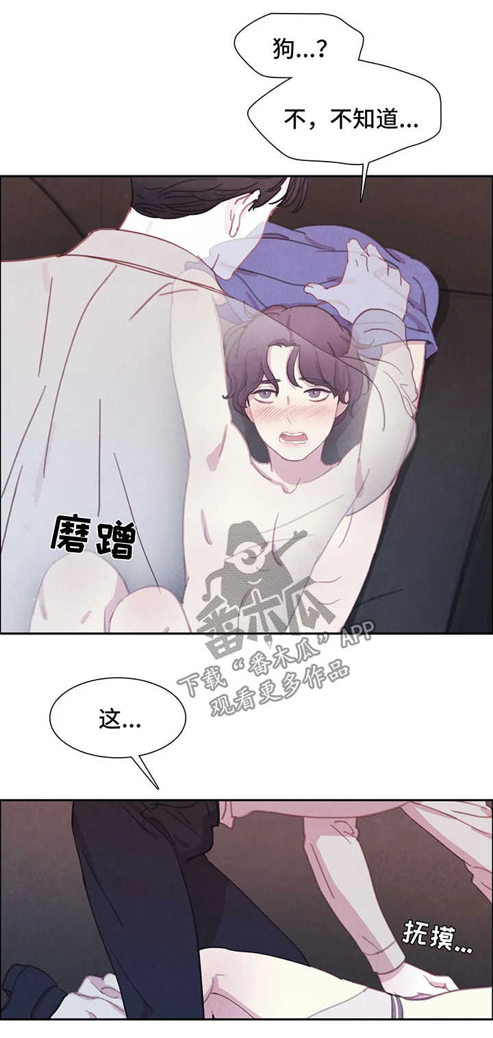 【与血族共生】漫画-（第36章：享用晚餐）章节漫画下拉式图片-第11张图片