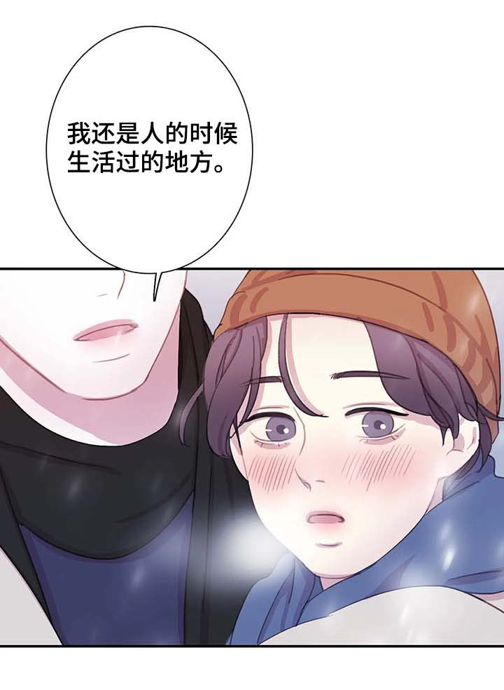 【与血族共生】漫画-（第54章：全都被斩首）章节漫画下拉式图片-第6张图片