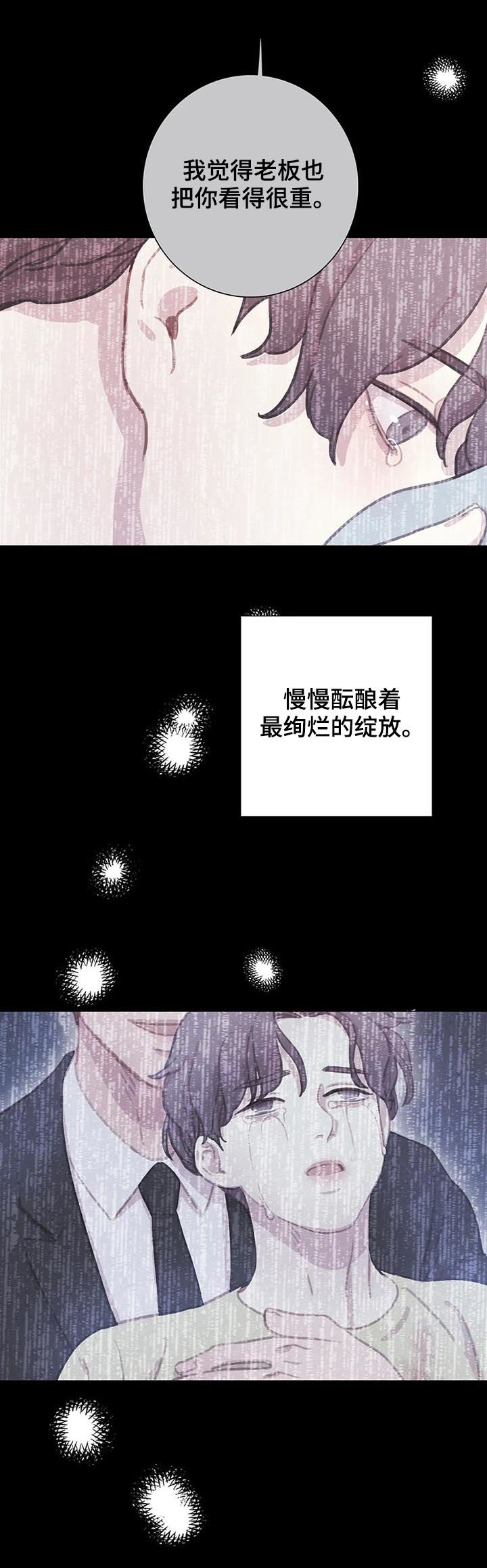 《与血族共生》漫画最新章节第97章：【第二季】不要回到从前免费下拉式在线观看章节第【16】张图片