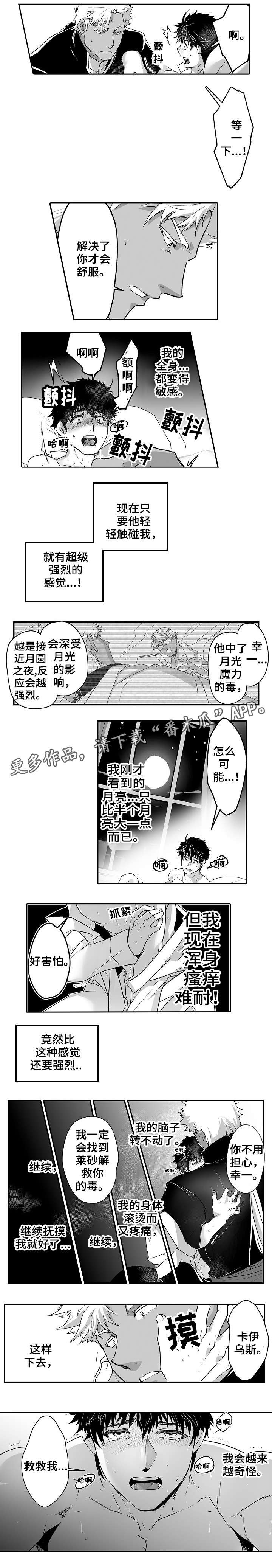 《巨型新娘》漫画最新章节第15章：都喜欢免费下拉式在线观看章节第【5】张图片