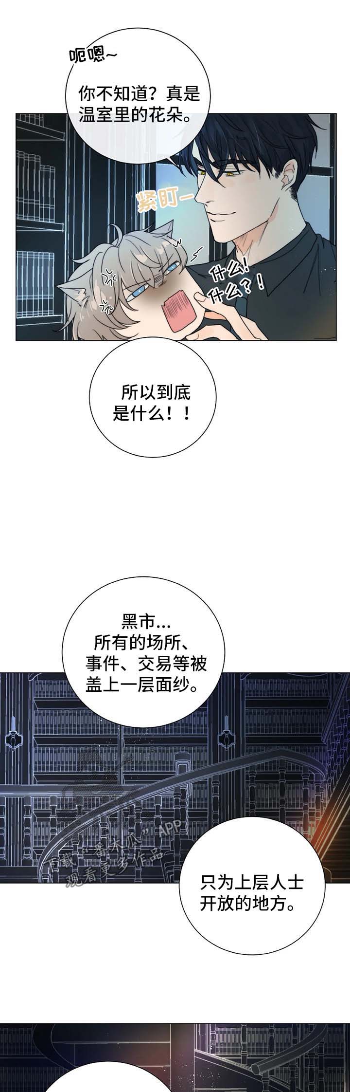 《目标狩猎》漫画最新章节第35章：账本免费下拉式在线观看章节第【5】张图片