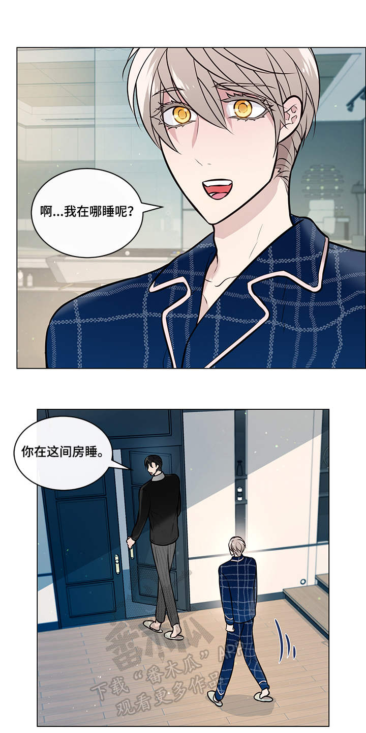 《单身税》漫画最新章节第14章：房间免费下拉式在线观看章节第【4】张图片