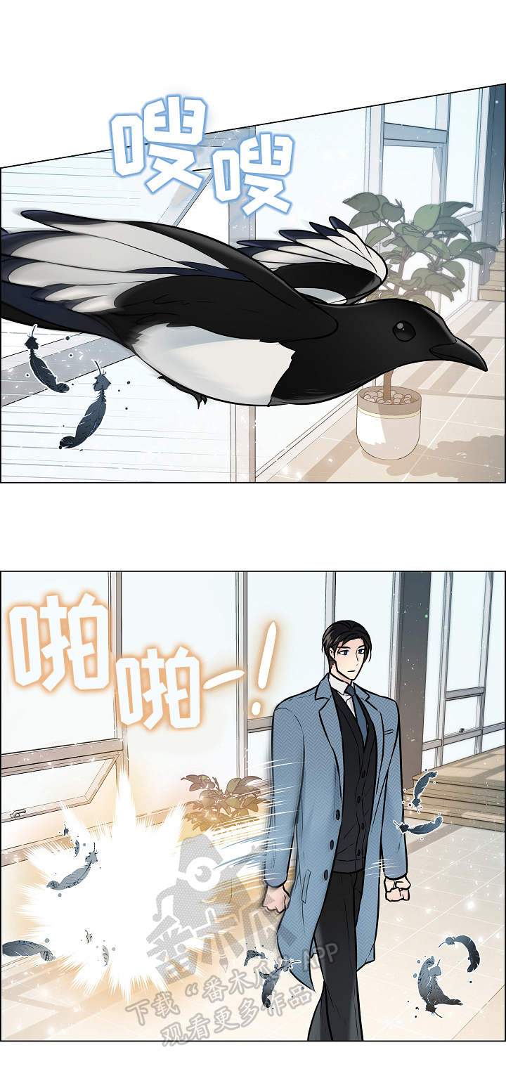 《单身税》漫画最新章节第27章：报恩免费下拉式在线观看章节第【7】张图片