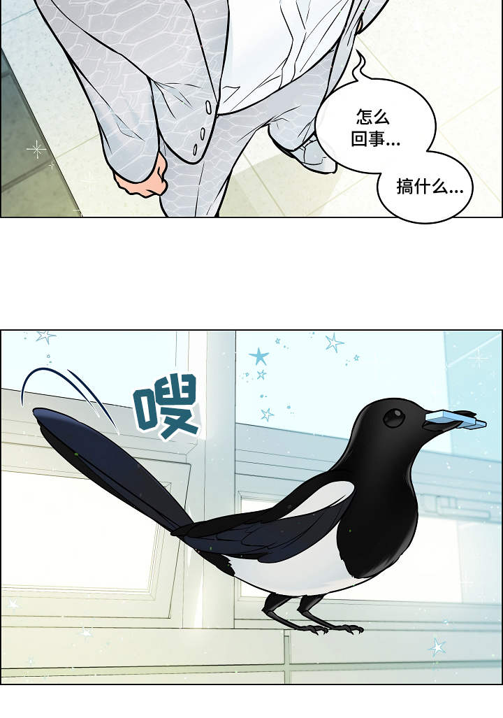 《单身税》漫画最新章节第28章：赶到免费下拉式在线观看章节第【8】张图片