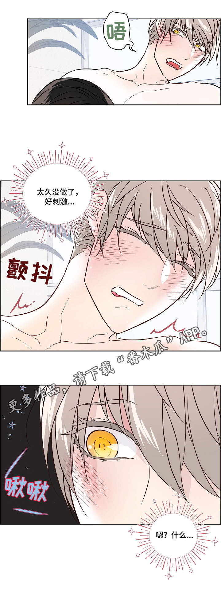 《单身税》漫画最新章节第38章：补偿免费下拉式在线观看章节第【5】张图片