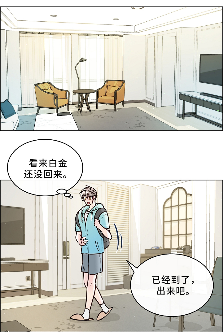 【单身税】漫画-（第43章：喜鹊的秘密）章节漫画下拉式图片-第9张图片