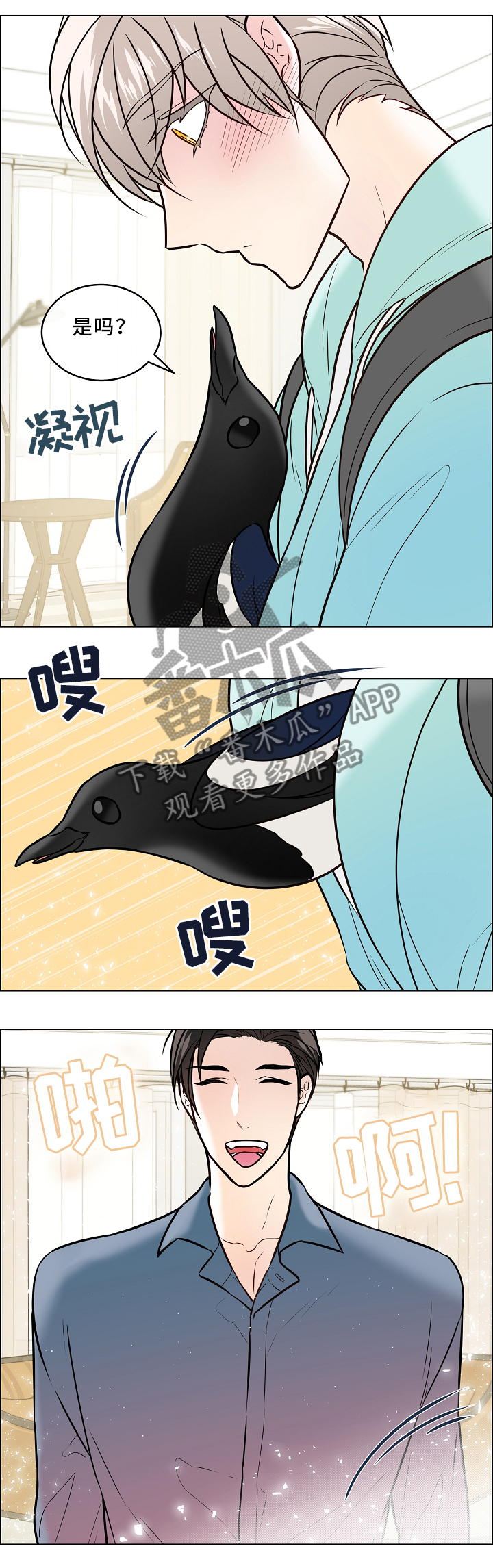 《单身税》漫画最新章节第43章：喜鹊的秘密免费下拉式在线观看章节第【4】张图片