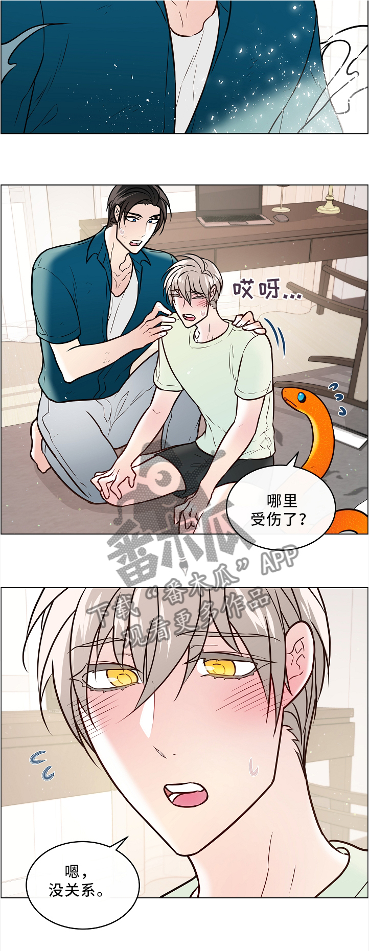 《单身税》漫画最新章节第46章：两只宠物免费下拉式在线观看章节第【6】张图片