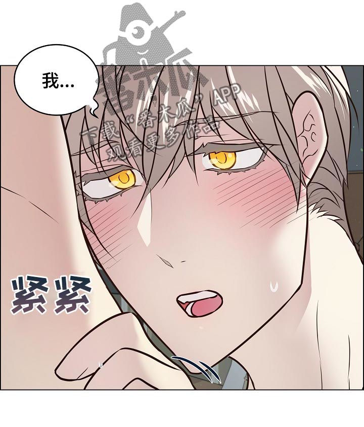 《单身税》漫画最新章节第51章：我先免费下拉式在线观看章节第【3】张图片