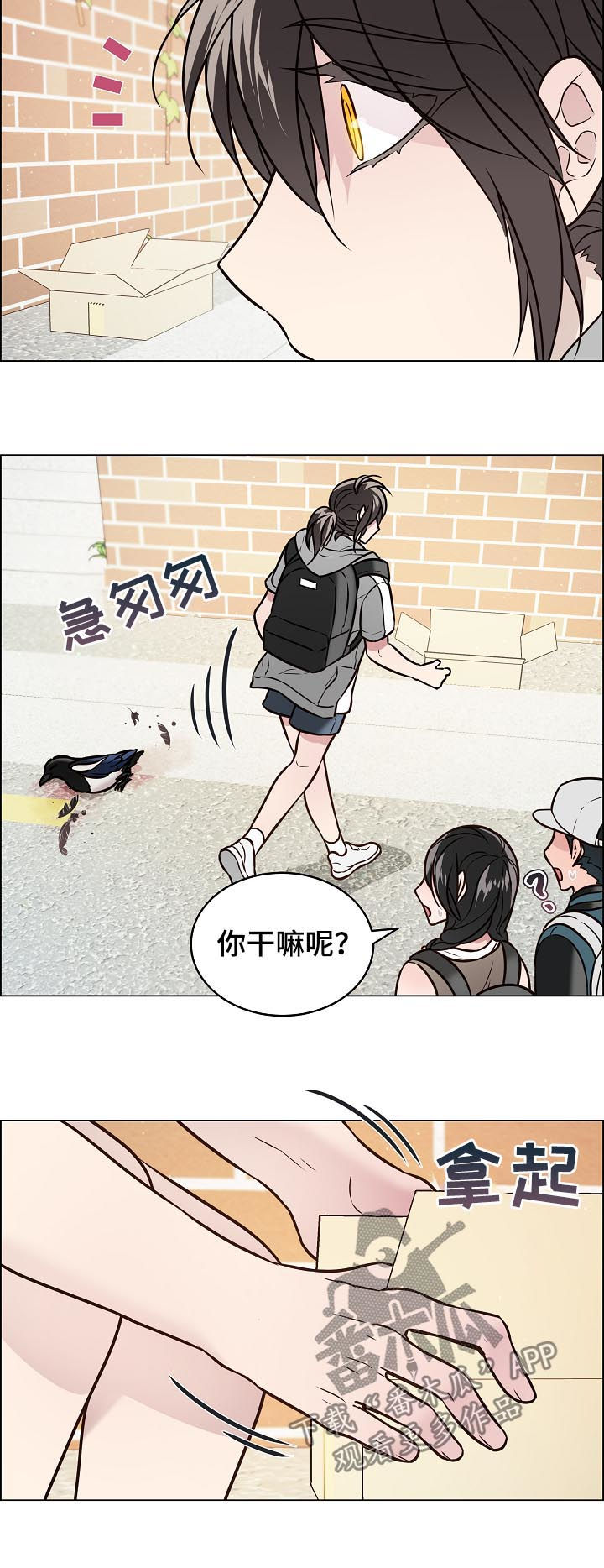 《单身税》漫画最新章节第67章：交通事故免费下拉式在线观看章节第【9】张图片