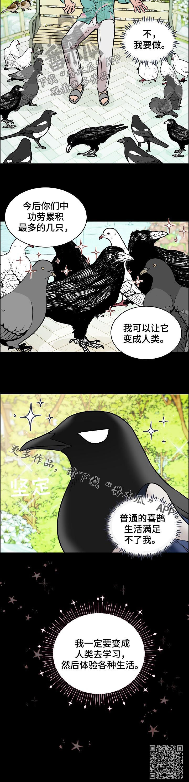 《单身税》漫画最新章节第67章：交通事故免费下拉式在线观看章节第【1】张图片