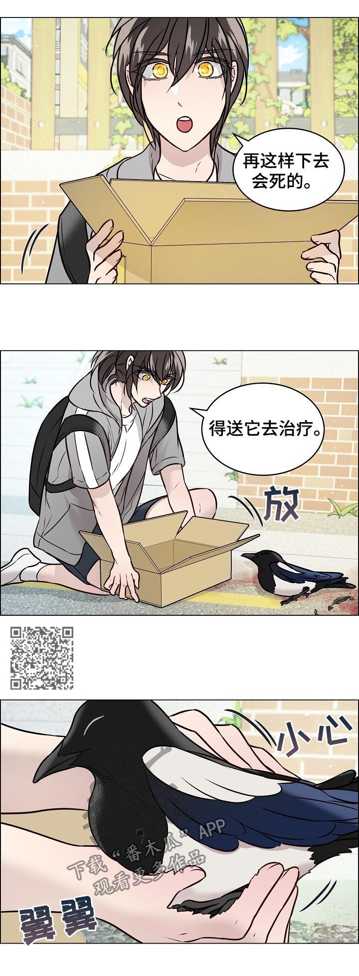 《单身税》漫画最新章节第67章：交通事故免费下拉式在线观看章节第【8】张图片