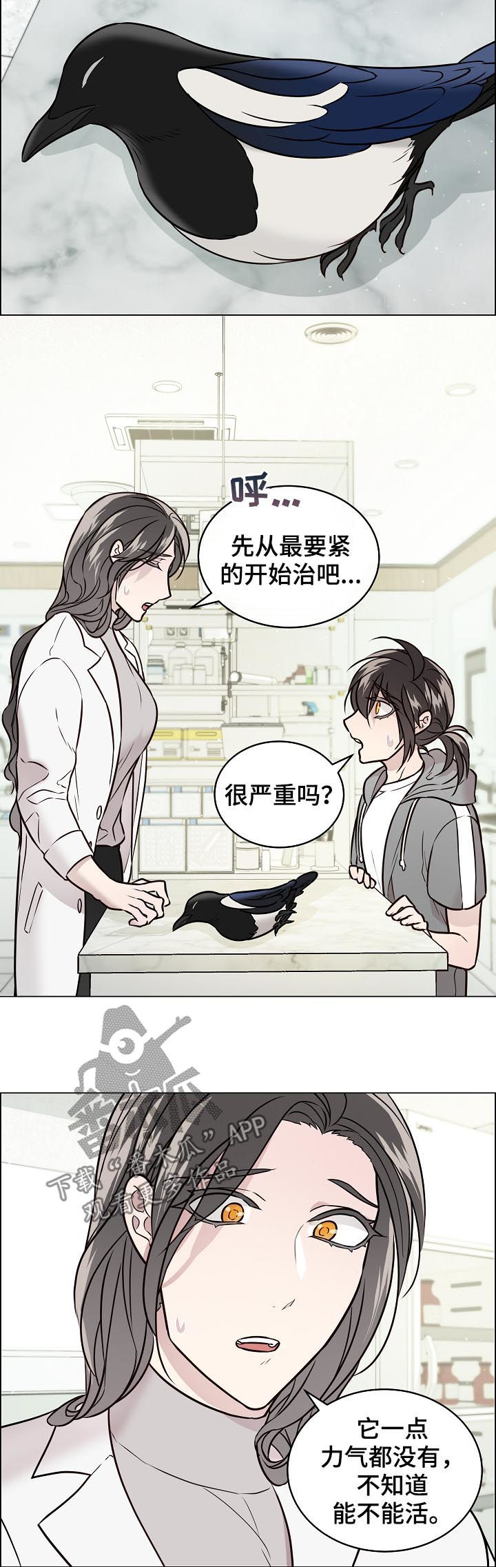 《单身税》漫画最新章节第67章：交通事故免费下拉式在线观看章节第【5】张图片