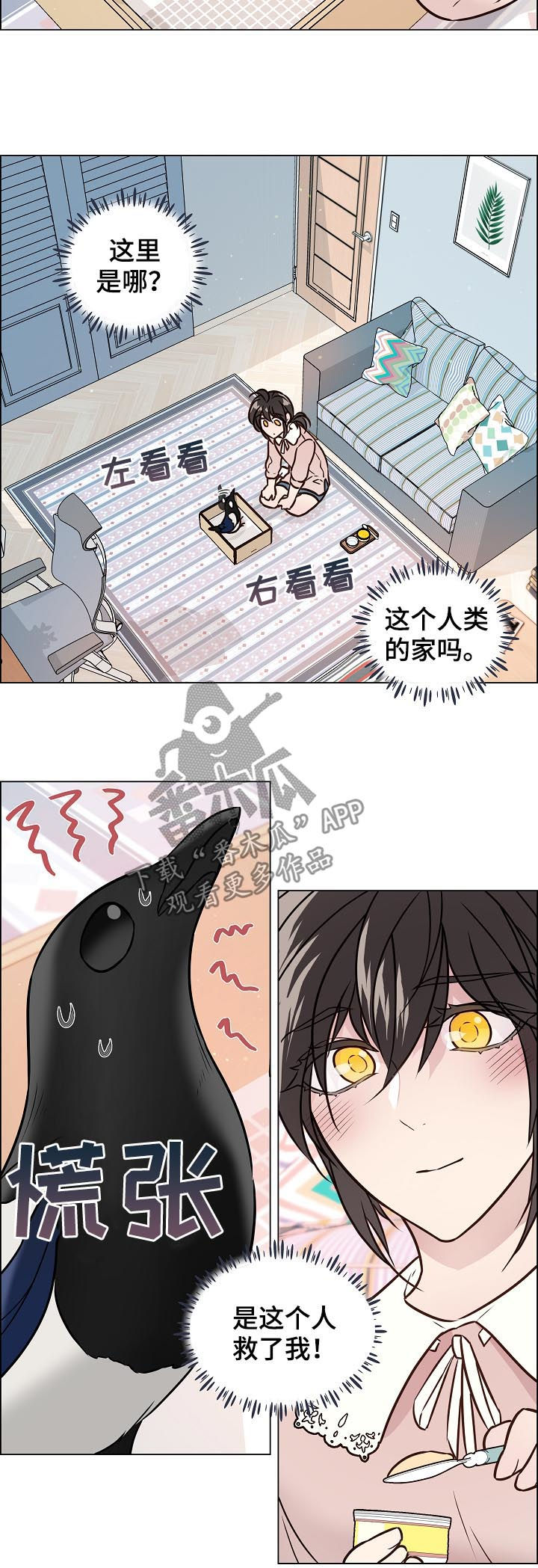 《单身税》漫画最新章节第68章：照顾免费下拉式在线观看章节第【9】张图片