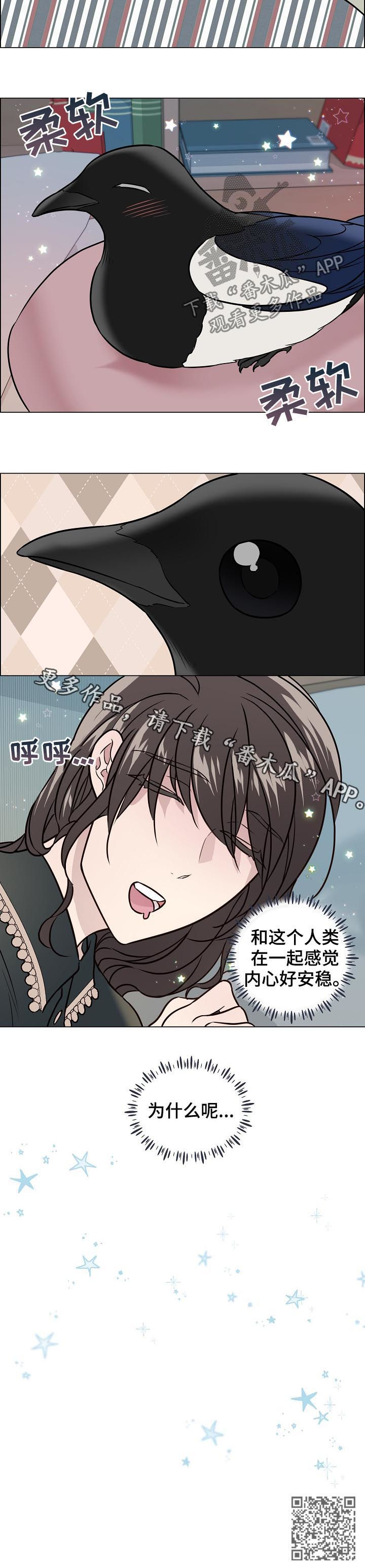 《单身税》漫画最新章节第69章：安稳免费下拉式在线观看章节第【1】张图片