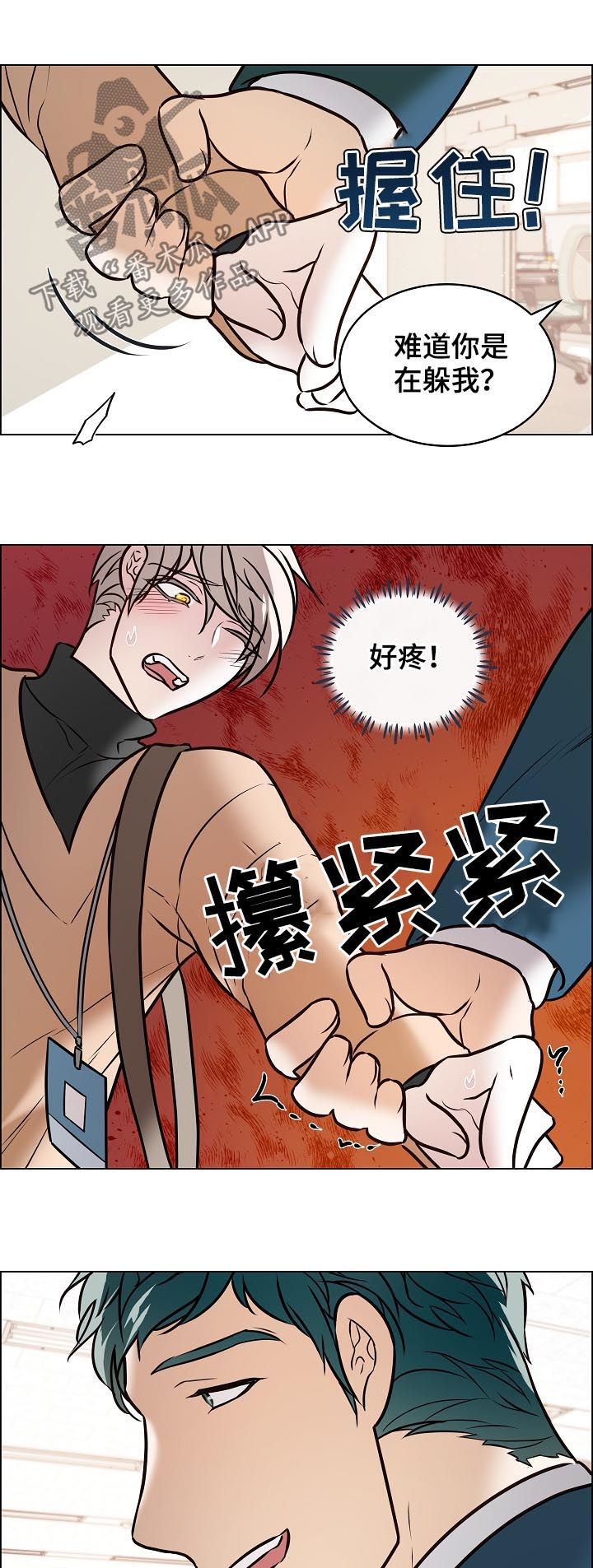 《单身税》漫画最新章节第88章：自作主张免费下拉式在线观看章节第【2】张图片