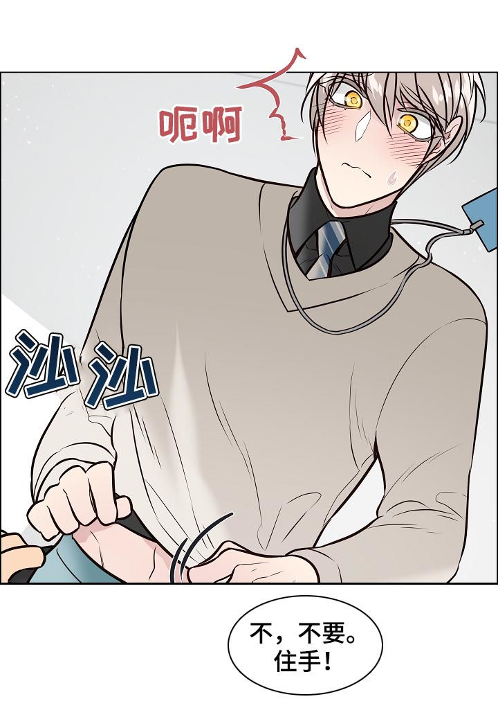 《单身税》漫画最新章节第91章：金组长归来免费下拉式在线观看章节第【5】张图片