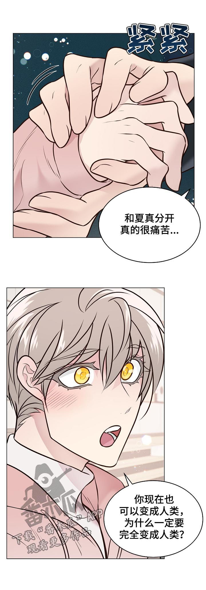 《单身税》漫画最新章节第93章：戒指破碎免费下拉式在线观看章节第【9】张图片