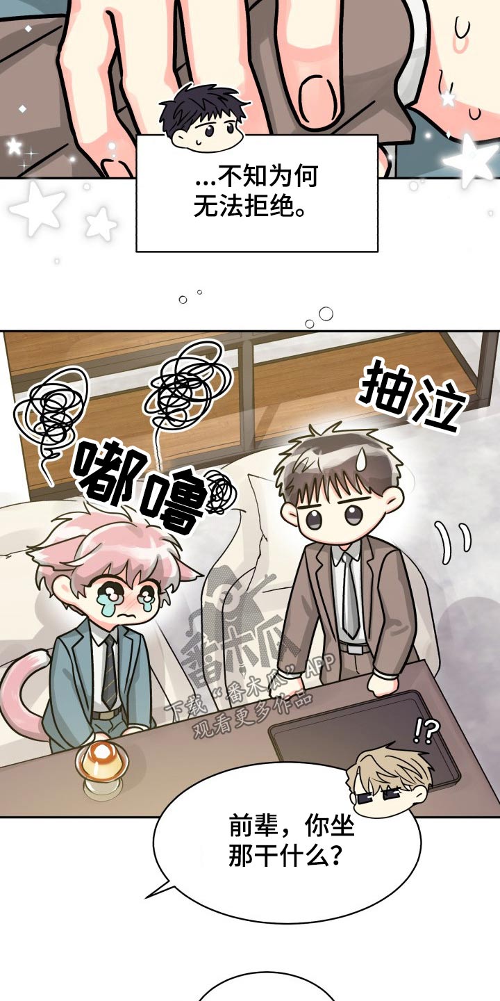 《气运彩虹色》漫画最新章节第79章：【第二季】不要免费下拉式在线观看章节第【14】张图片