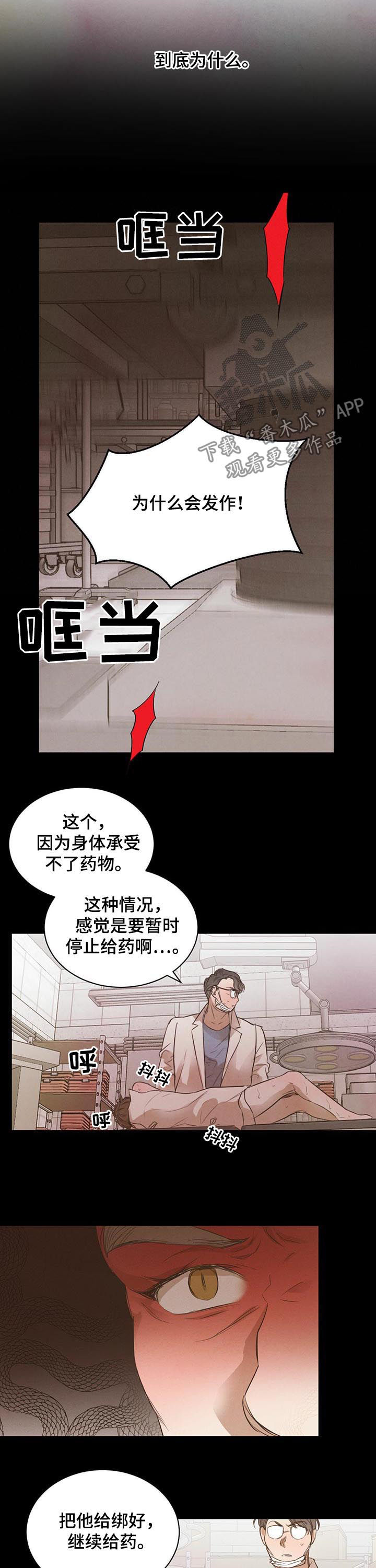 《柳树下的浪漫》漫画最新章节第58章：【第二季】最佳人选免费下拉式在线观看章节第【4】张图片