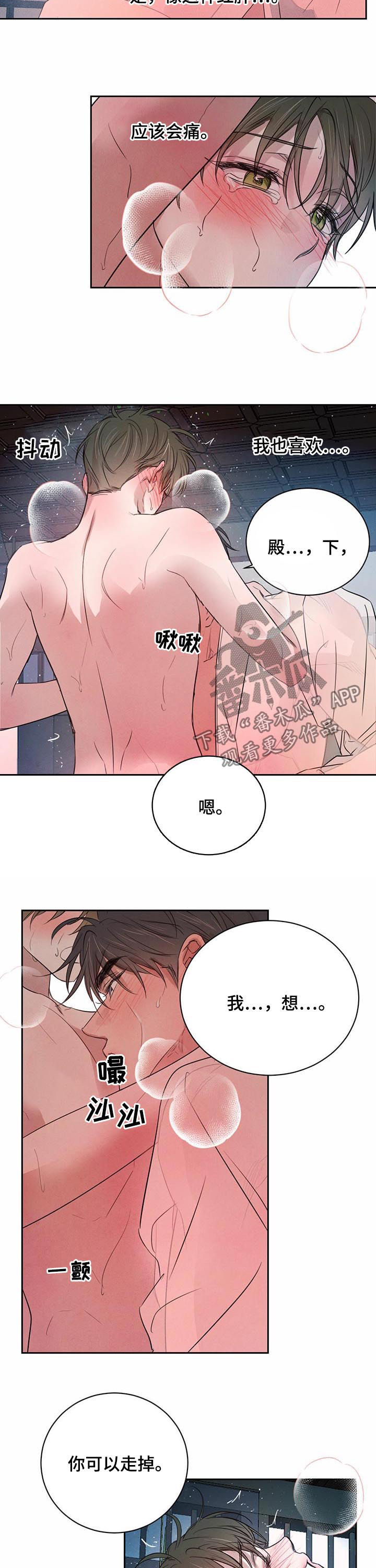 《柳树下的浪漫》漫画最新章节第62章：【第二季】殿下，我想...免费下拉式在线观看章节第【3】张图片