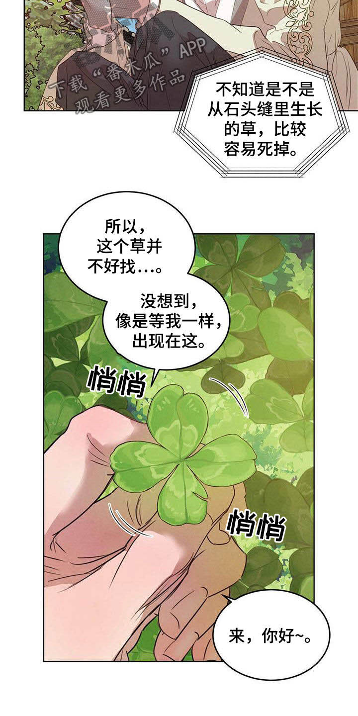 《柳树下的浪漫》漫画最新章节第104章：【第二季】四叶草免费下拉式在线观看章节第【7】张图片