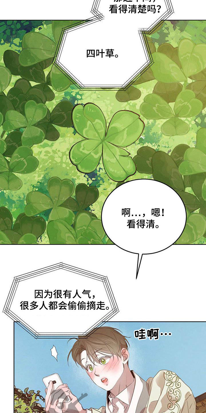 《柳树下的浪漫》漫画最新章节第104章：【第二季】四叶草免费下拉式在线观看章节第【8】张图片