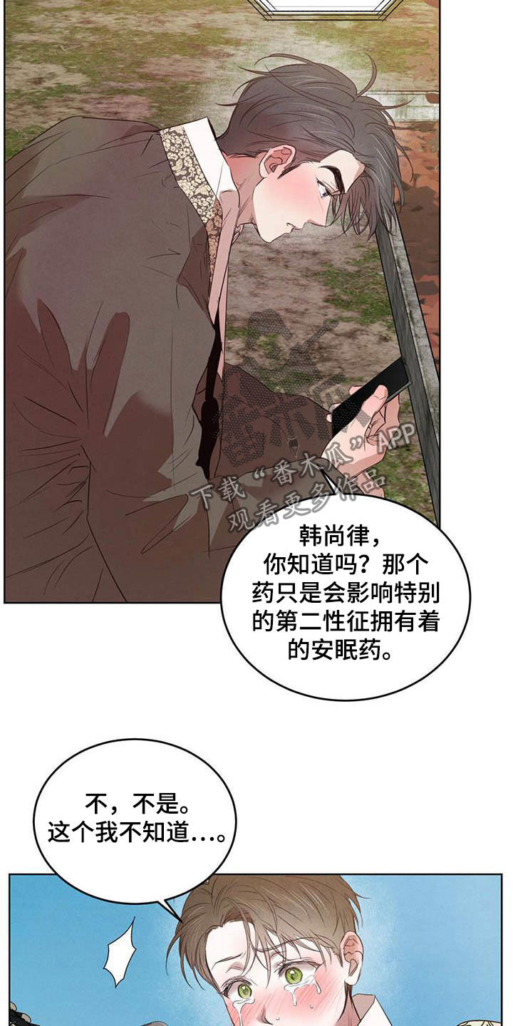 《柳树下的浪漫》漫画最新章节第105章：【第二季】袭击免费下拉式在线观看章节第【17】张图片