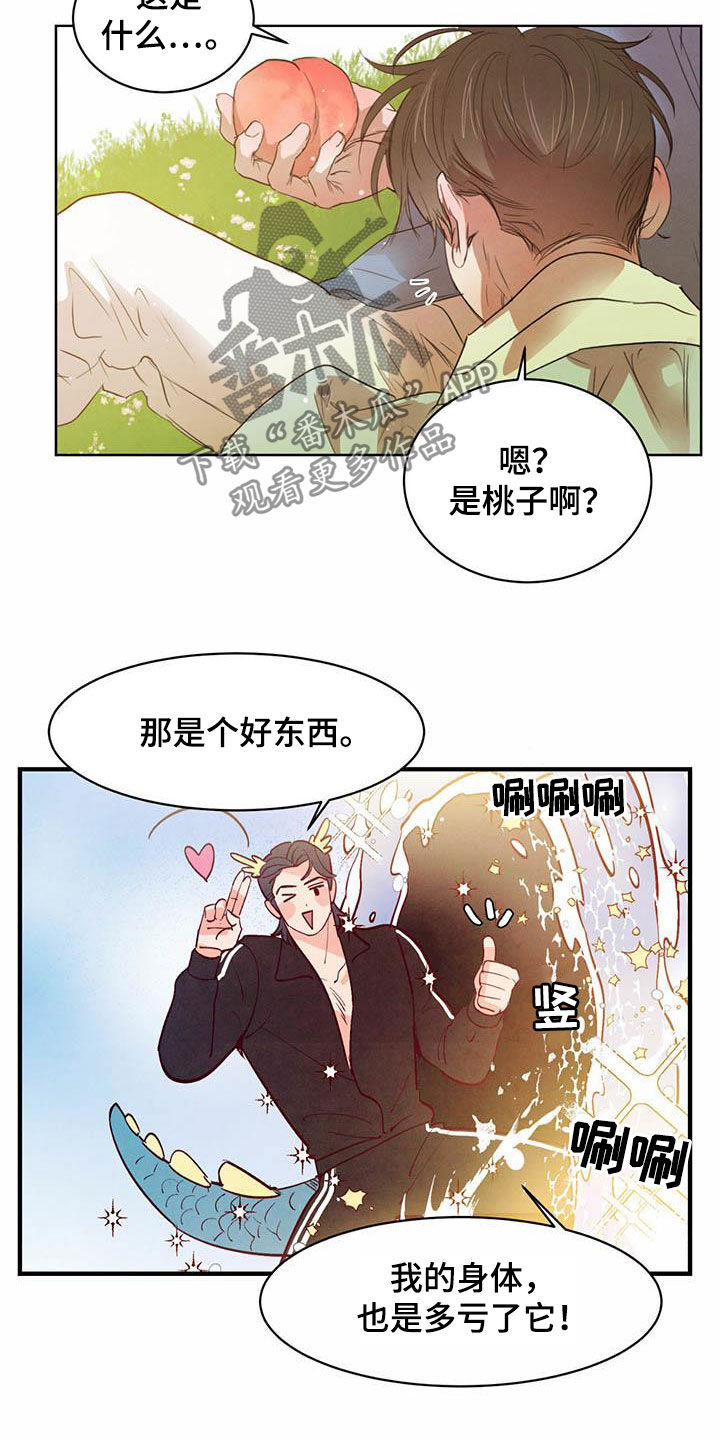 《柳树下的浪漫》漫画最新章节第108章：【特别篇】龙飞桃落免费下拉式在线观看章节第【4】张图片