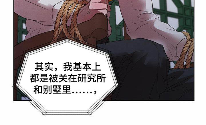 《柳树下的浪漫》漫画最新章节第110章：【第二季】他是人免费下拉式在线观看章节第【13】张图片