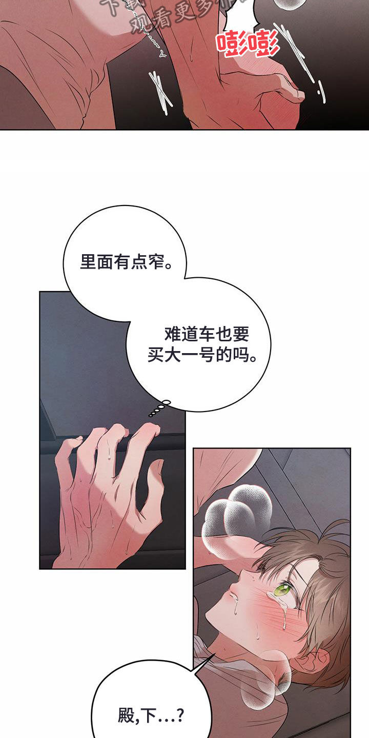 《柳树下的浪漫》漫画最新章节第119章：【番外】车太小免费下拉式在线观看章节第【2】张图片