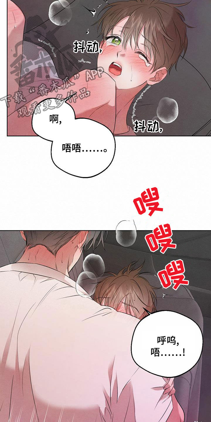 《柳树下的浪漫》漫画最新章节第119章：【番外】车太小免费下拉式在线观看章节第【4】张图片