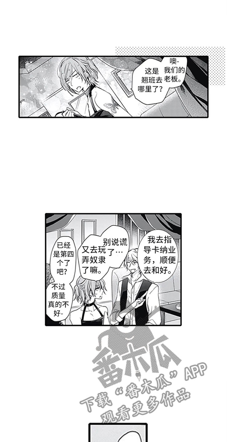 《独占骗局》漫画最新章节第5章：确认免费下拉式在线观看章节第【13】张图片