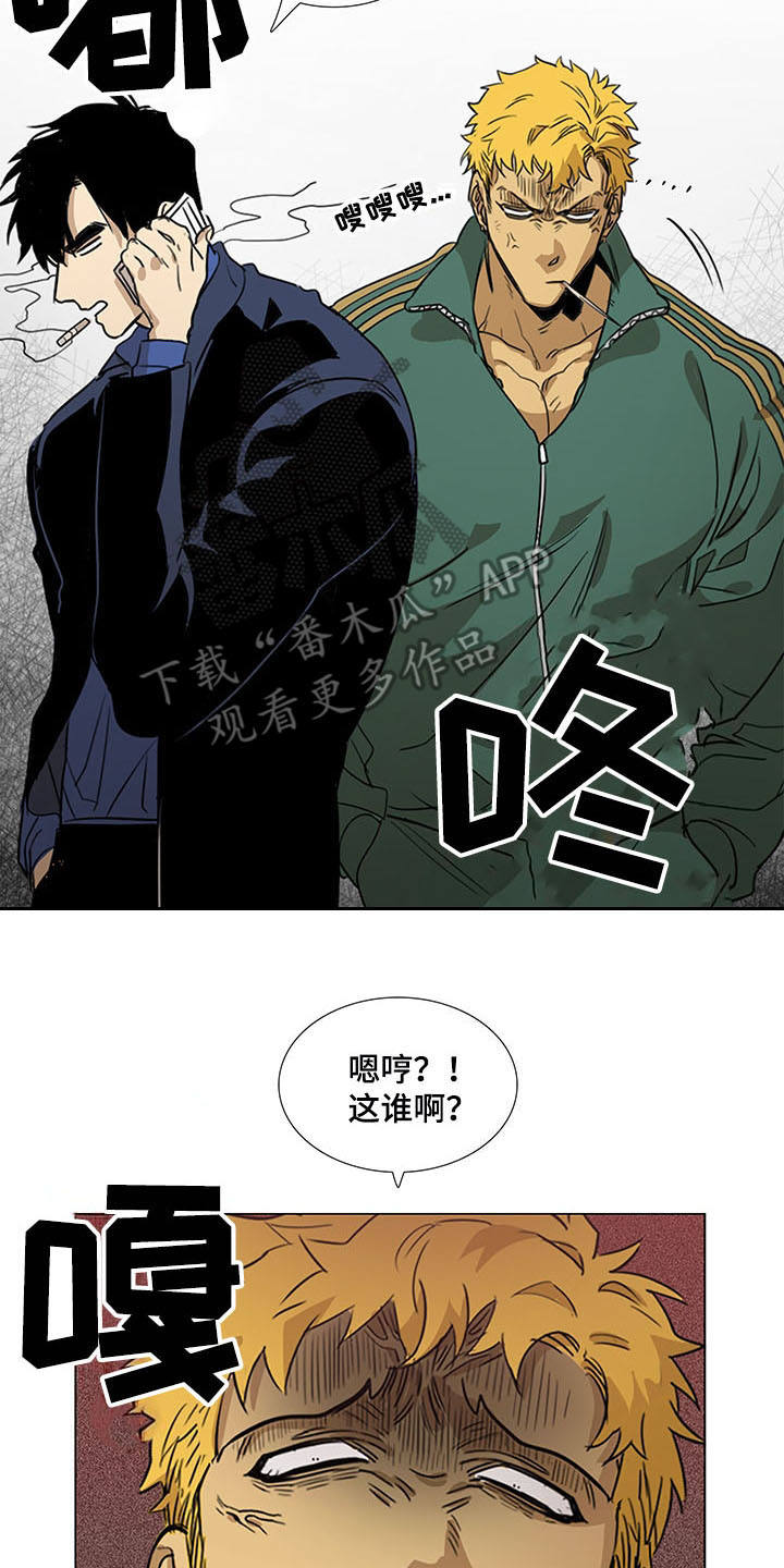 《将军肉店》漫画最新章节第29章：站稳脚跟免费下拉式在线观看章节第【10】张图片