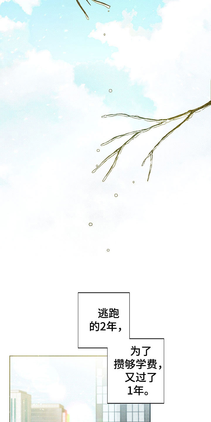 《凛冬雪》漫画最新章节第5章：王国免费下拉式在线观看章节第【9】张图片