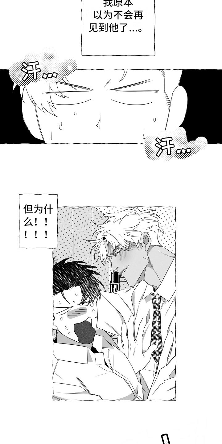 《我的真心实意》漫画最新章节第2章：再次出现免费下拉式在线观看章节第【2】张图片