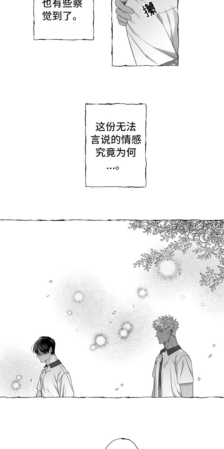 《我的真心实意》漫画最新章节第11章：命运的安排免费下拉式在线观看章节第【10】张图片