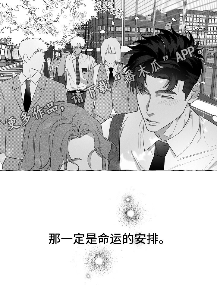 《我的真心实意》漫画最新章节第11章：命运的安排免费下拉式在线观看章节第【1】张图片