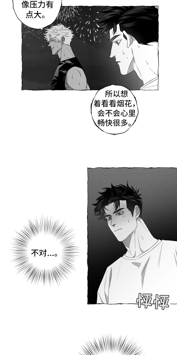 《我的真心实意》漫画最新章节第13章：看烟花免费下拉式在线观看章节第【2】张图片