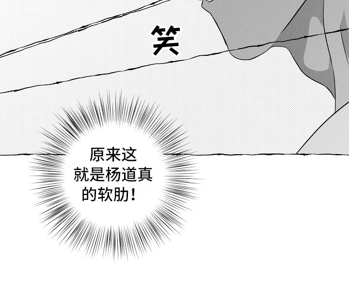 《我的真心实意》漫画最新章节第21章：软肋免费下拉式在线观看章节第【1】张图片