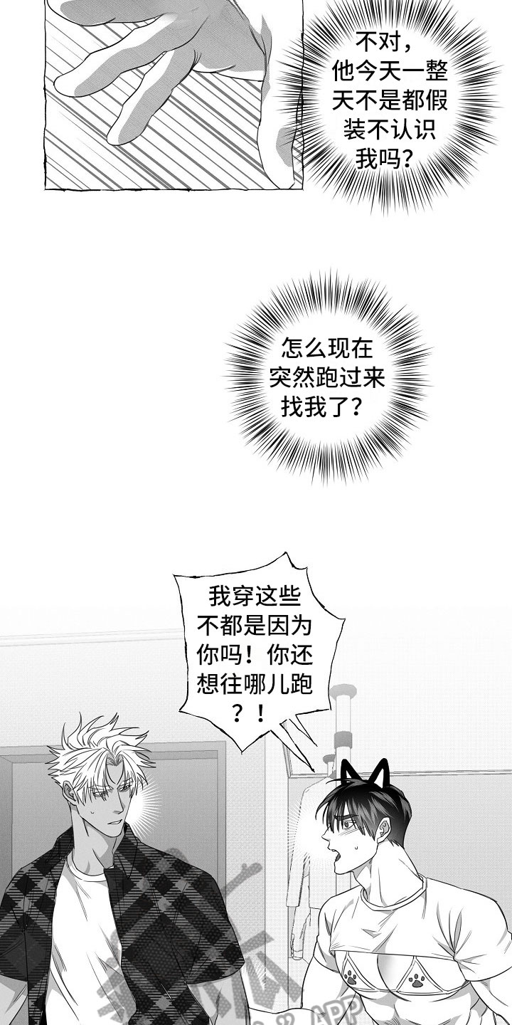 《我的真心实意》漫画最新章节第27章：决心免费下拉式在线观看章节第【6】张图片