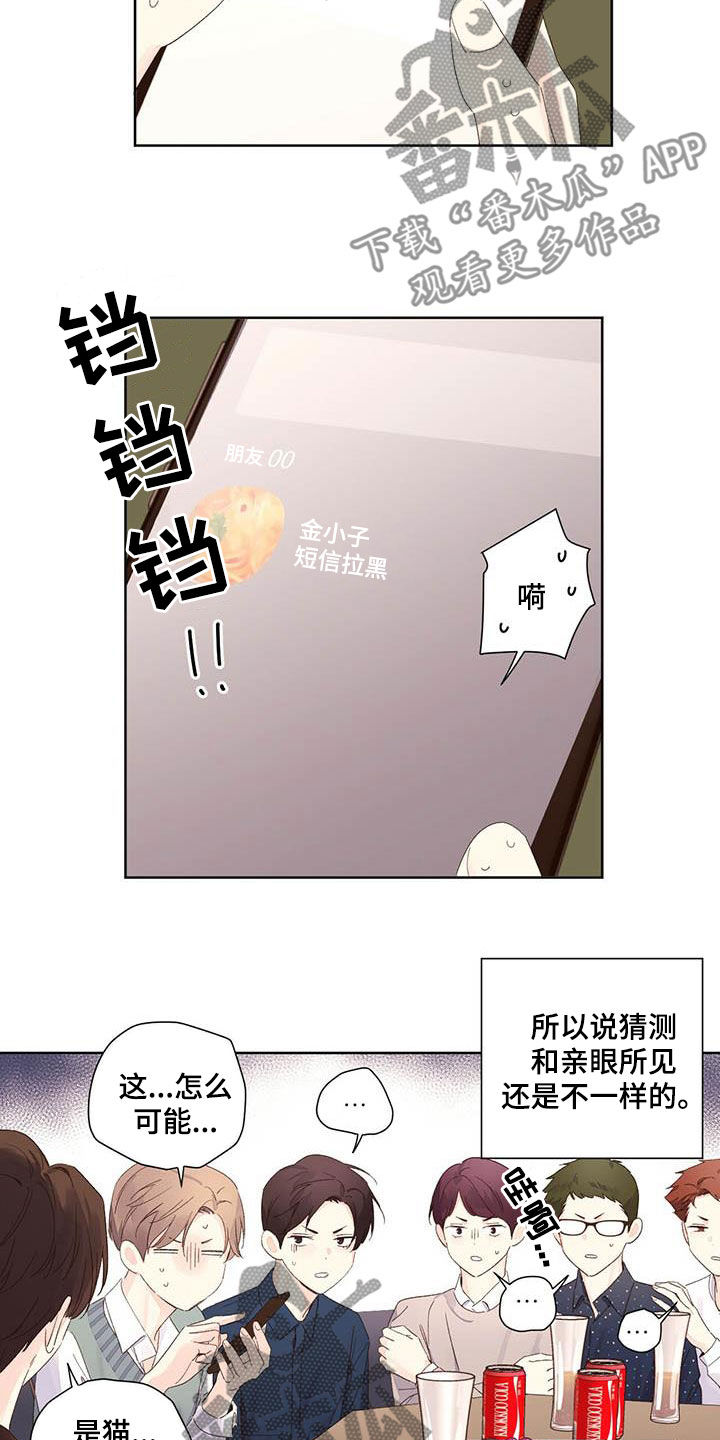 【月抛恋人】漫画-（第106章：是猫干的）章节漫画下拉式图片-第9张图片