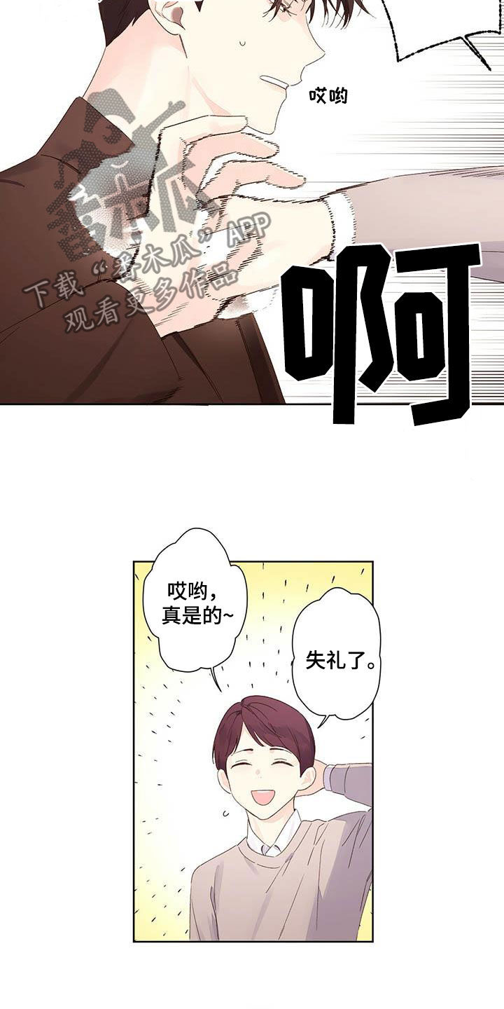 《月抛恋人》漫画最新章节第106章：是猫干的免费下拉式在线观看章节第【12】张图片