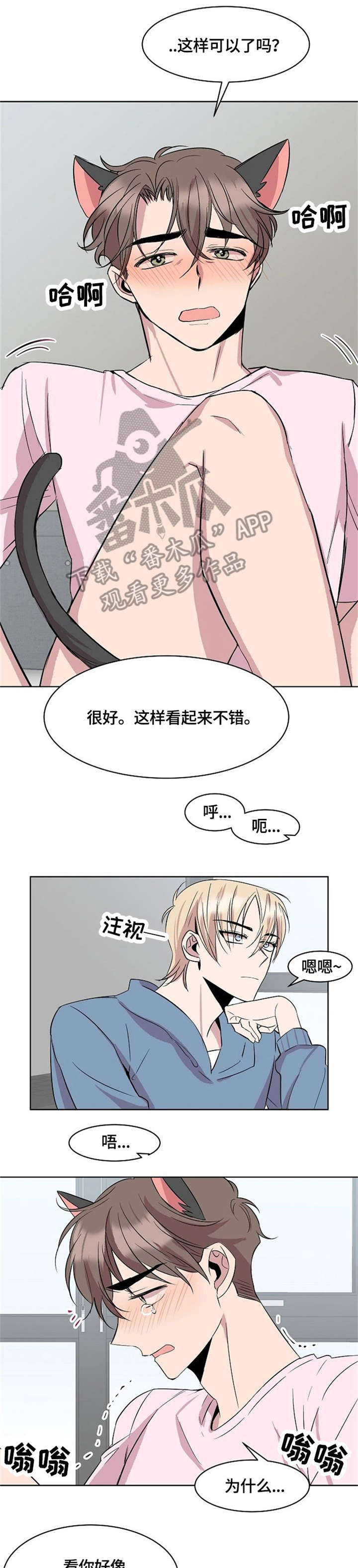 《请你收留我》漫画最新章节第15章：猫耳免费下拉式在线观看章节第【6】张图片